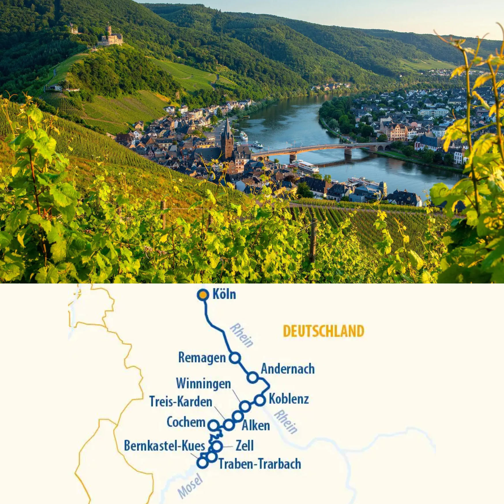 mosel web