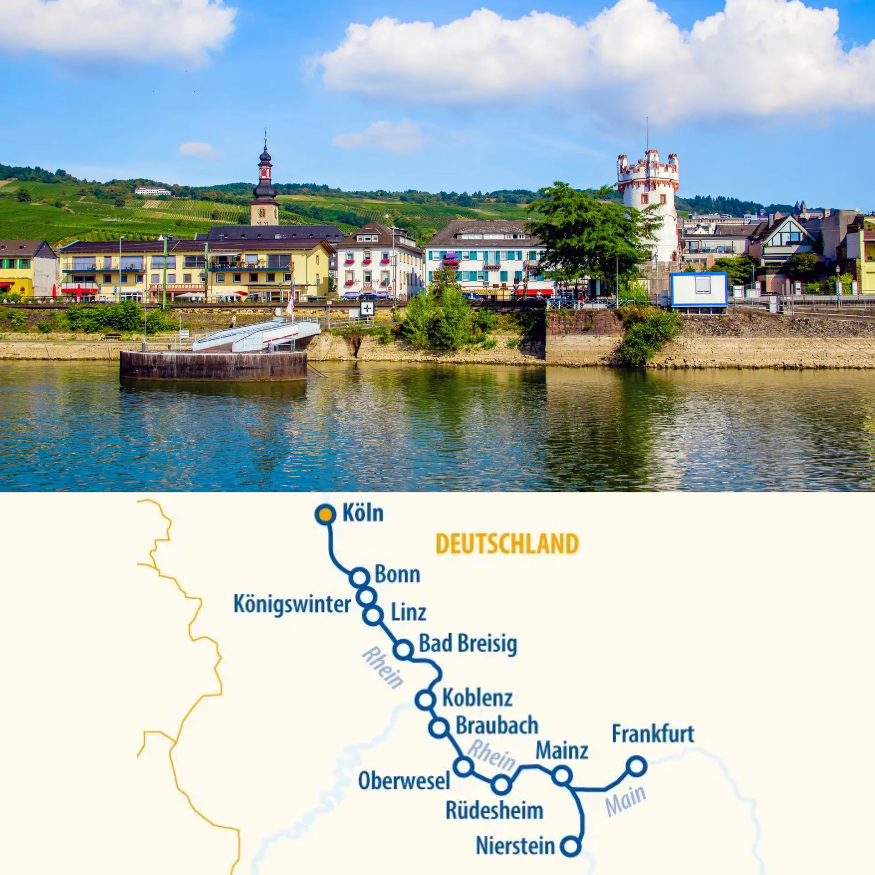 rhein & main für fellnasen web