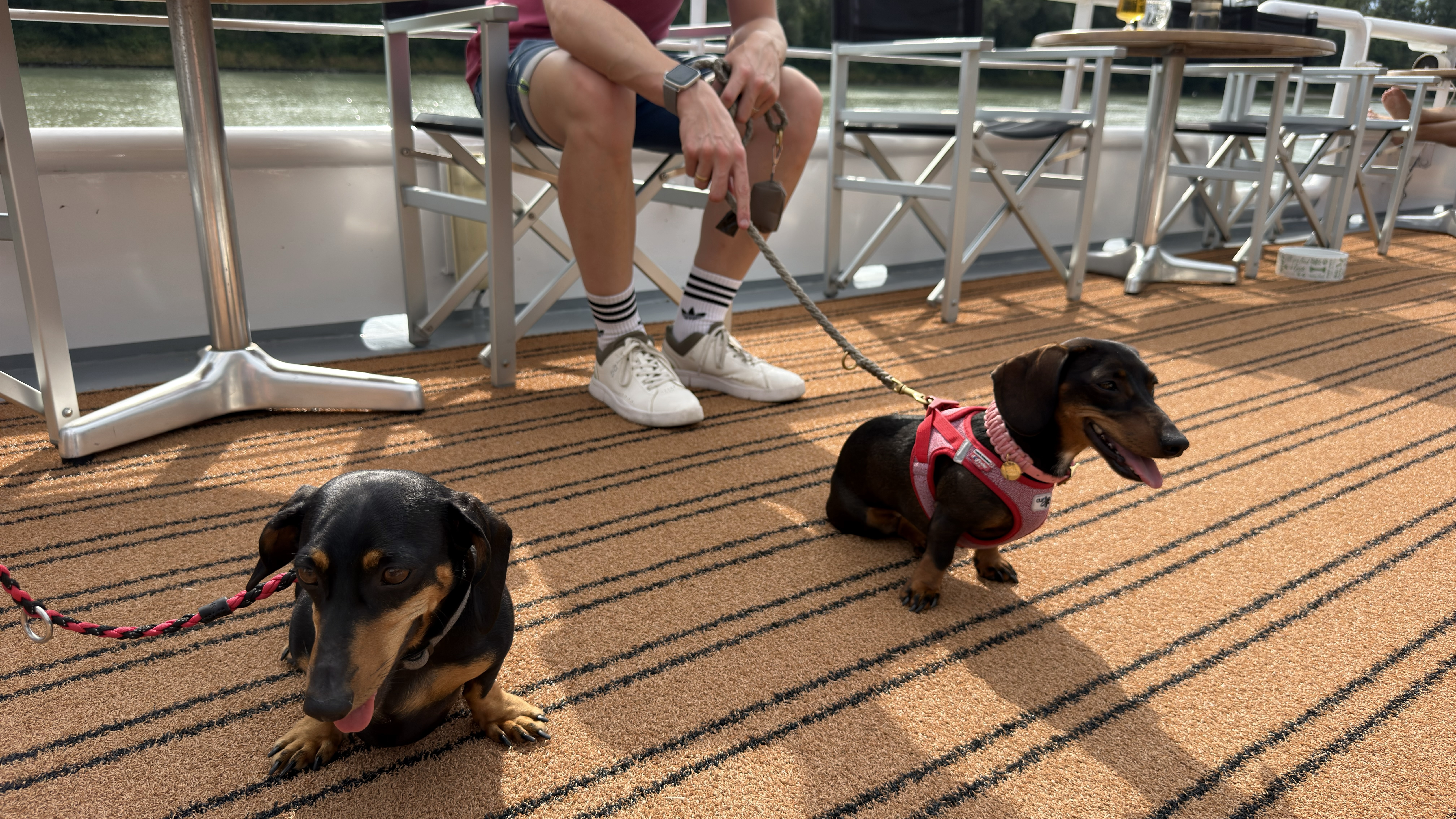 Frieda und Wilma an Bord